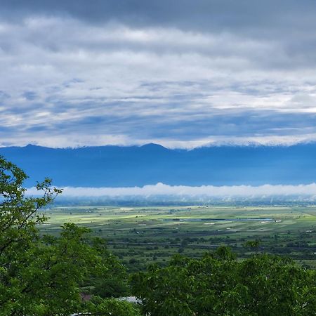 Kardanakhi Estate ξενώνας Anaga Εξωτερικό φωτογραφία