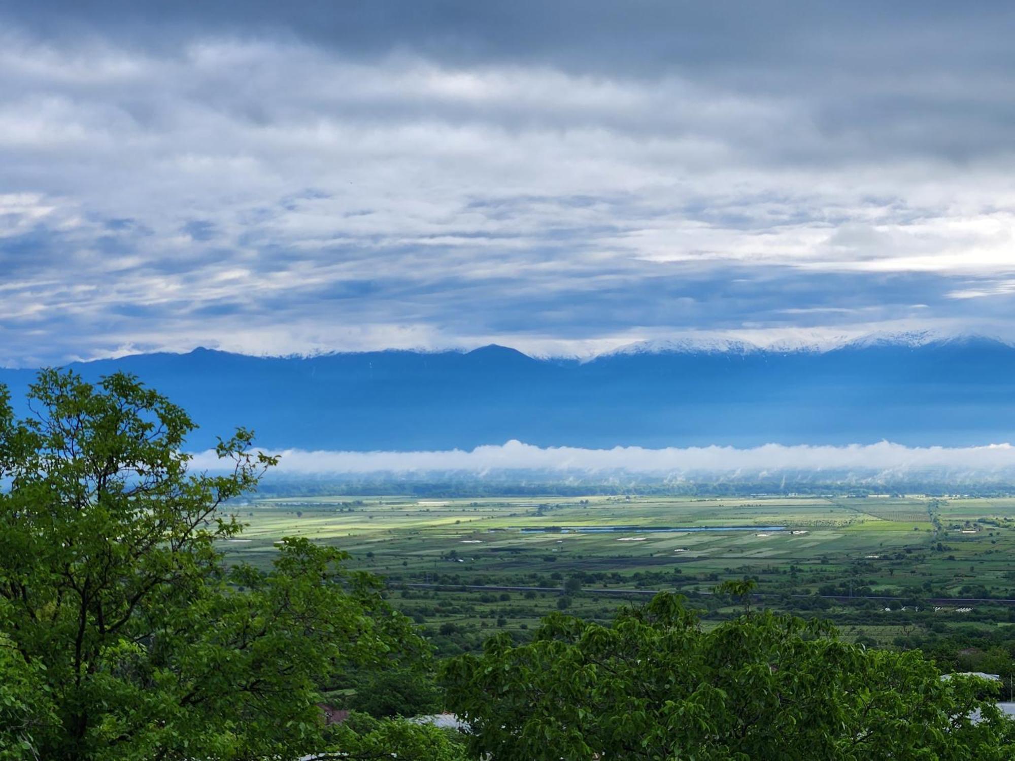 Kardanakhi Estate ξενώνας Anaga Εξωτερικό φωτογραφία